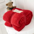 Teddy Bear Throw Blanket